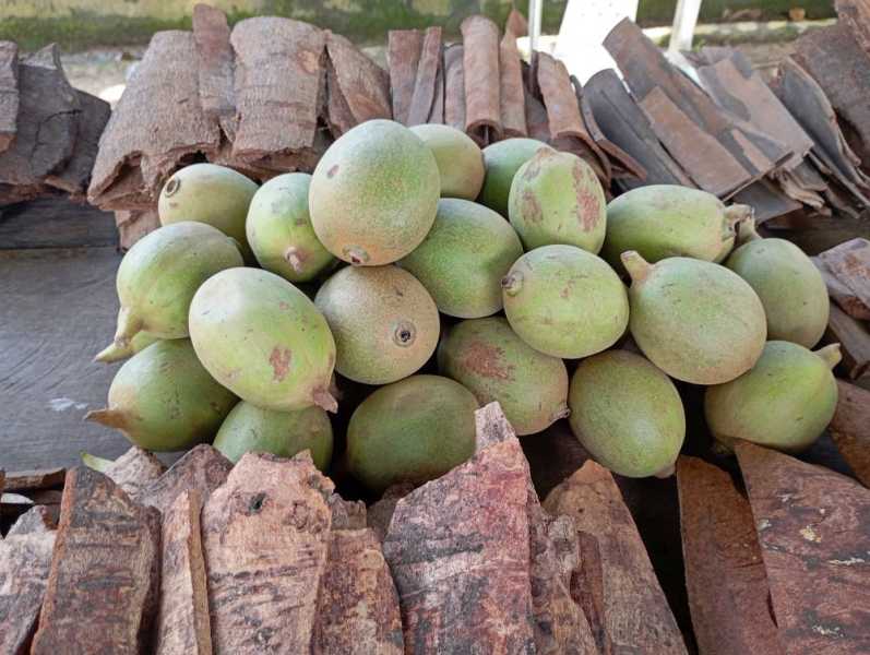 Колумбия, в натуре! Амазонка и другие регионы Колумбии, 2025