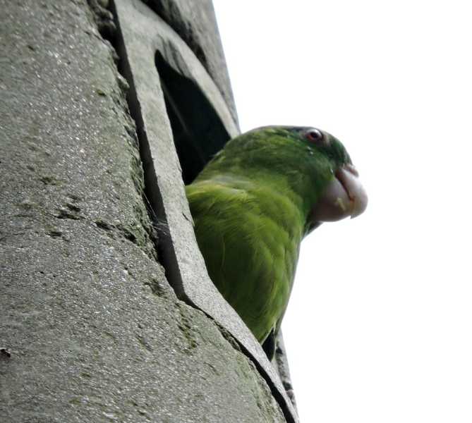 Колумбия, в натуре! Амазонка и другие регионы Колумбии, 2025