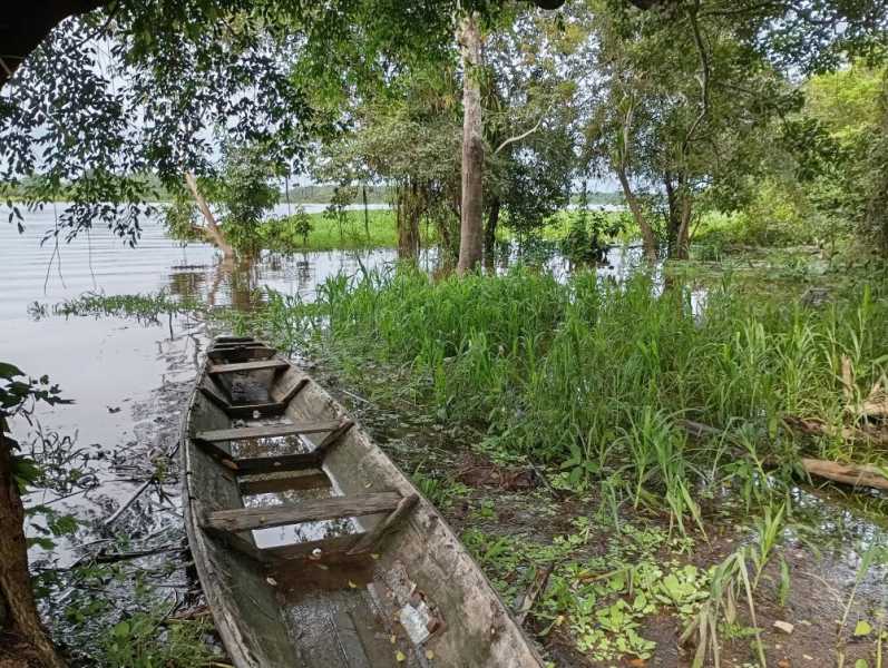 Колумбия, в натуре! Амазонка и другие регионы Колумбии, 2025