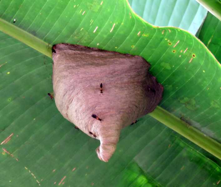 Колумбия, в натуре! Амазонка и другие регионы Колумбии, 2025