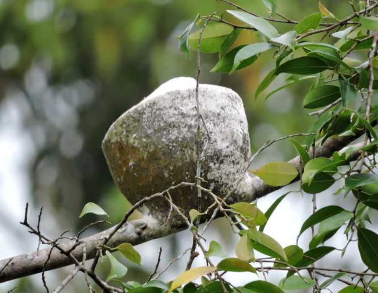 Колумбия, в натуре! Амазонка и другие регионы Колумбии, 2025