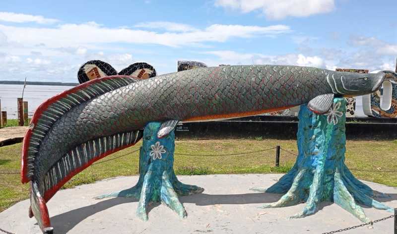 Колумбия, в натуре! Амазонка и другие регионы Колумбии, 2025