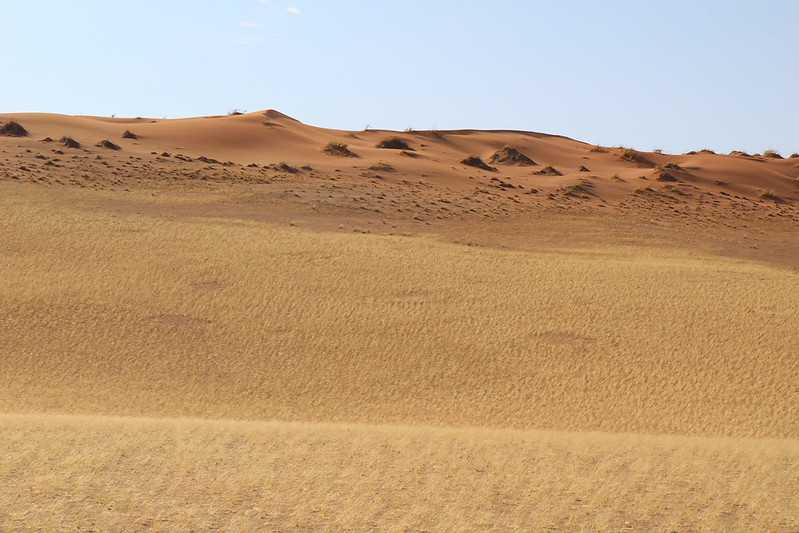 Южно-африканские приключения часть 2 20000 км (Намибия, Ботсвана, Замбия, Малави, Мозамбик) октябрь-декабрь 2025