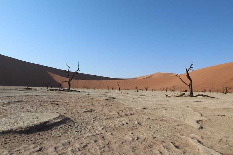 Южно-африканские приключения часть 2 20000 км (Намибия, Ботсвана, Замбия, Малави, Мозамбик) октябрь-декабрь 2025