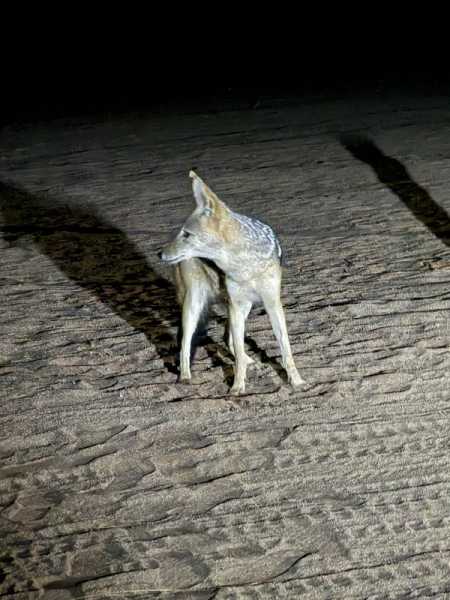 Южно-африканские приключения часть 2 20000 км (Намибия, Ботсвана, Замбия, Малави, Мозамбик) октябрь-декабрь 2025