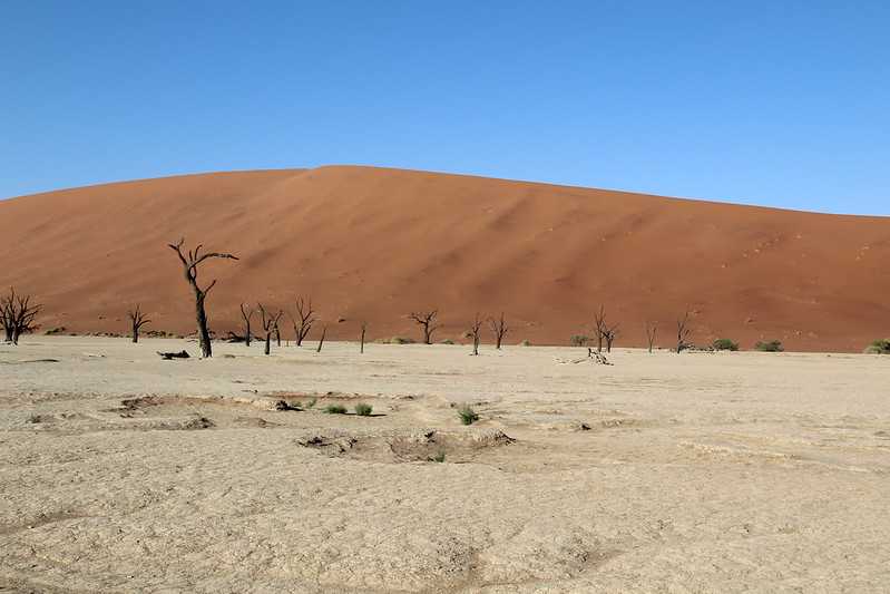 Южно-африканские приключения часть 2 20000 км (Намибия, Ботсвана, Замбия, Малави, Мозамбик) октябрь-декабрь 2025