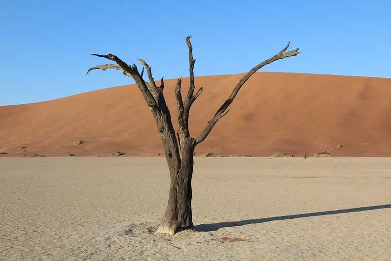 Южно-африканские приключения часть 2 20000 км (Намибия, Ботсвана, Замбия, Малави, Мозамбик) октябрь-декабрь 2025