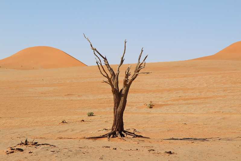 Южно-африканские приключения часть 2 20000 км (Намибия, Ботсвана, Замбия, Малави, Мозамбик) октябрь-декабрь 2025