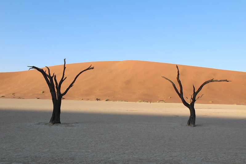 Южно-африканские приключения часть 2 20000 км (Намибия, Ботсвана, Замбия, Малави, Мозамбик) октябрь-декабрь 2025