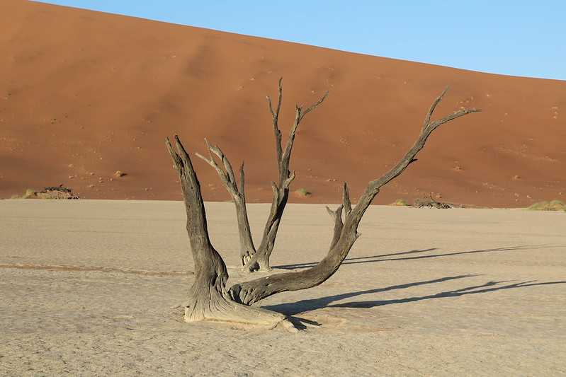 Южно-африканские приключения часть 2 20000 км (Намибия, Ботсвана, Замбия, Малави, Мозамбик) октябрь-декабрь 2025