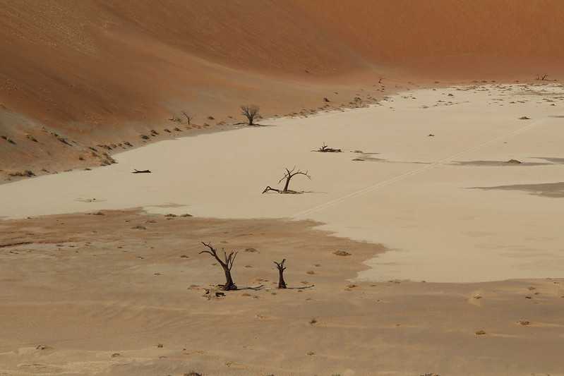 Южно-африканские приключения часть 2 20000 км (Намибия, Ботсвана, Замбия, Малави, Мозамбик) октябрь-декабрь 2025