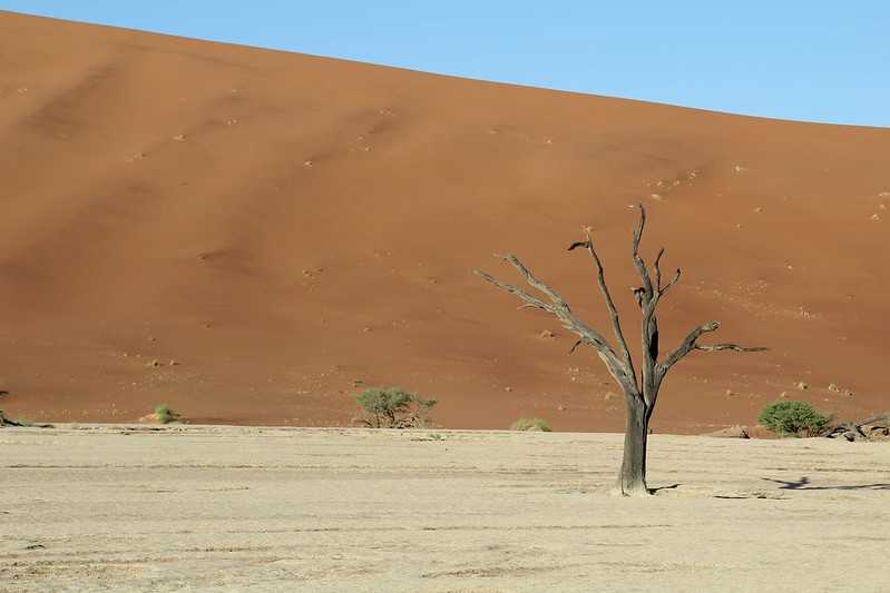 Южно-африканские приключения часть 2 20000 км (Намибия, Ботсвана, Замбия, Малави, Мозамбик) октябрь-декабрь 2025