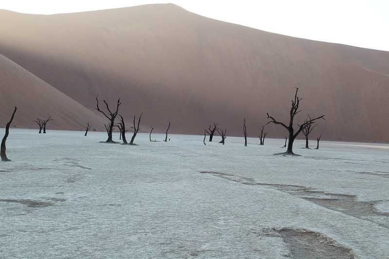 Южно-африканские приключения часть 2 20000 км (Намибия, Ботсвана, Замбия, Малави, Мозамбик) октябрь-декабрь 2025