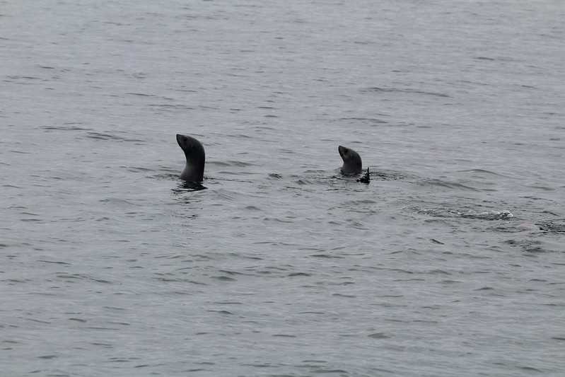 Южно-африканские приключения часть 2 20000 км (Намибия, Ботсвана, Замбия, Малави, Мозамбик) октябрь-декабрь 2025