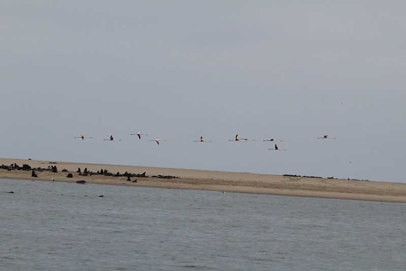 Южно-африканские приключения часть 2 20000 км (Намибия, Ботсвана, Замбия, Малави, Мозамбик) октябрь-декабрь 2025