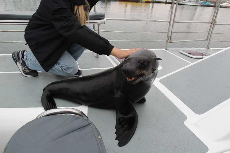 Южно-африканские приключения часть 2 20000 км (Намибия, Ботсвана, Замбия, Малави, Мозамбик) октябрь-декабрь 2025