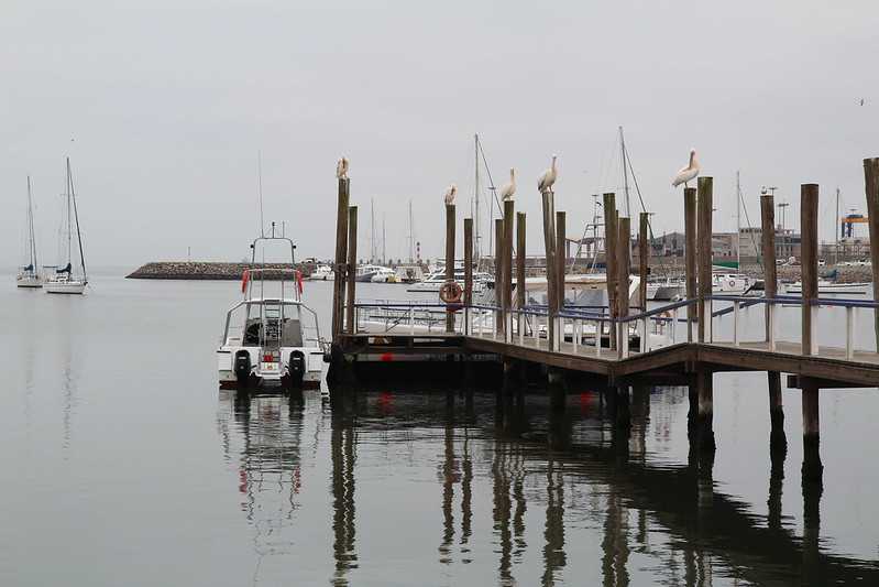 Южно-африканские приключения часть 2 20000 км (Намибия, Ботсвана, Замбия, Малави, Мозамбик) октябрь-декабрь 2025