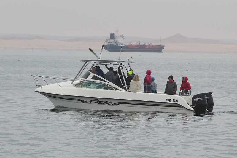 Южно-африканские приключения часть 2 20000 км (Намибия, Ботсвана, Замбия, Малави, Мозамбик) октябрь-декабрь 2025