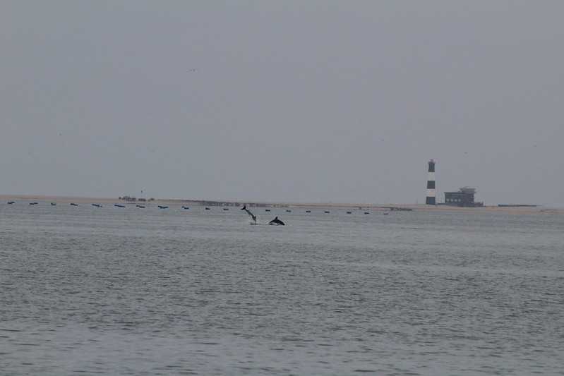 Южно-африканские приключения часть 2 20000 км (Намибия, Ботсвана, Замбия, Малави, Мозамбик) октябрь-декабрь 2025