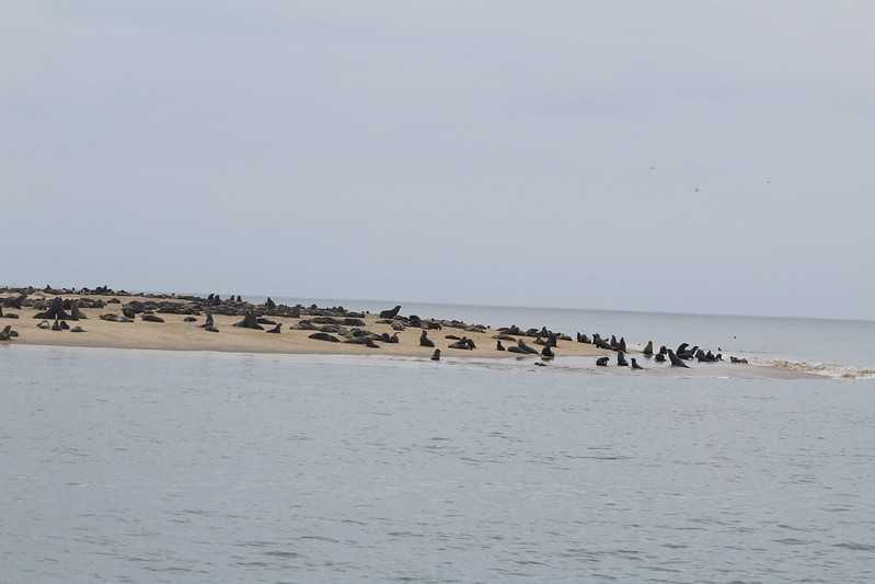 Южно-африканские приключения часть 2 20000 км (Намибия, Ботсвана, Замбия, Малави, Мозамбик) октябрь-декабрь 2025