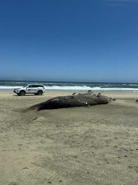 Южно-африканские приключения часть 2 20000 км (Намибия, Ботсвана, Замбия, Малави, Мозамбик) октябрь-декабрь 2025