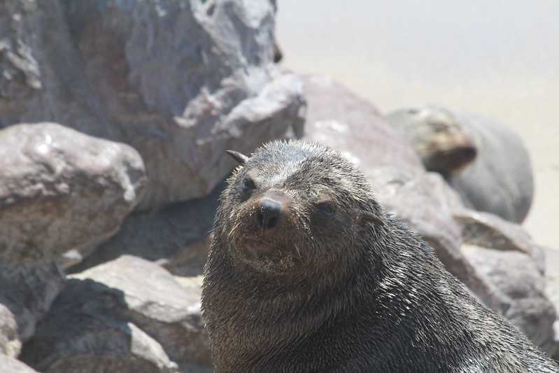 Южно-африканские приключения часть 2 20000 км (Намибия, Ботсвана, Замбия, Малави, Мозамбик) октябрь-декабрь 2025