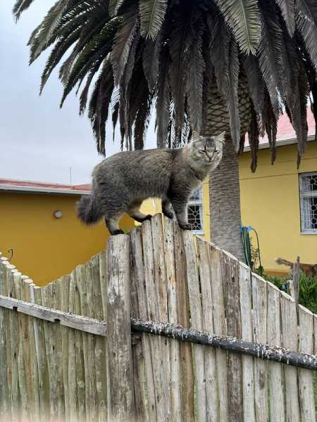 Южно-африканские приключения часть 2 20000 км (Намибия, Ботсвана, Замбия, Малави, Мозамбик) октябрь-декабрь 2025