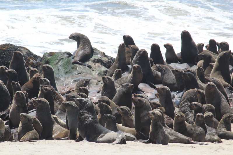 Южно-африканские приключения часть 2 20000 км (Намибия, Ботсвана, Замбия, Малави, Мозамбик) октябрь-декабрь 2025