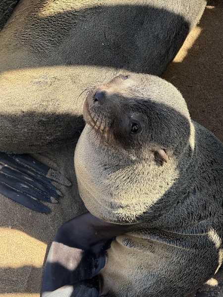 Южно-африканские приключения часть 2 20000 км (Намибия, Ботсвана, Замбия, Малави, Мозамбик) октябрь-декабрь 2025