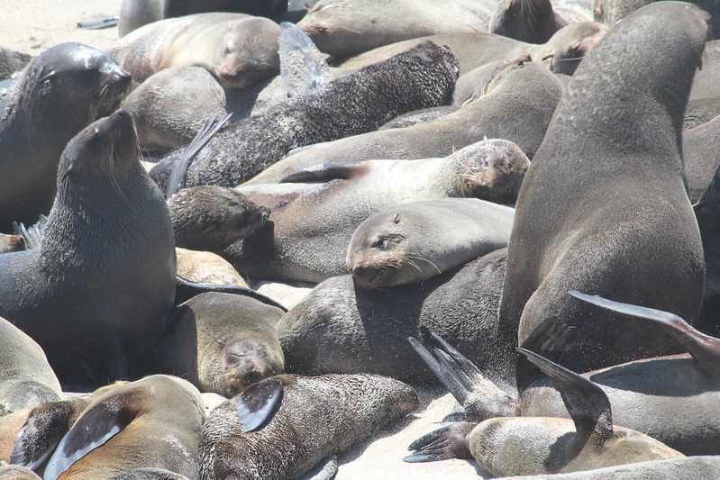 Южно-африканские приключения часть 2 20000 км (Намибия, Ботсвана, Замбия, Малави, Мозамбик) октябрь-декабрь 2025