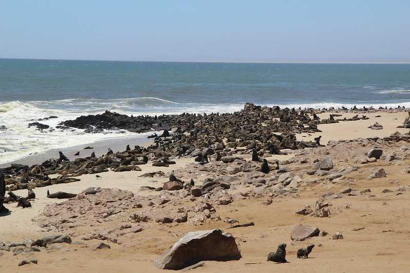 Южно-африканские приключения часть 2 20000 км (Намибия, Ботсвана, Замбия, Малави, Мозамбик) октябрь-декабрь 2025