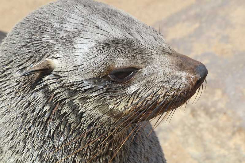 Южно-африканские приключения часть 2 20000 км (Намибия, Ботсвана, Замбия, Малави, Мозамбик) октябрь-декабрь 2025