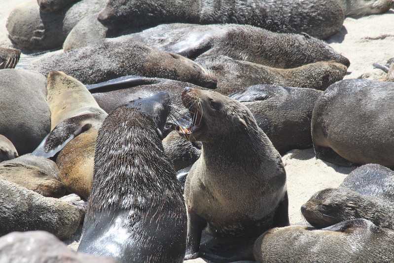 Южно-африканские приключения часть 2 20000 км (Намибия, Ботсвана, Замбия, Малави, Мозамбик) октябрь-декабрь 2025