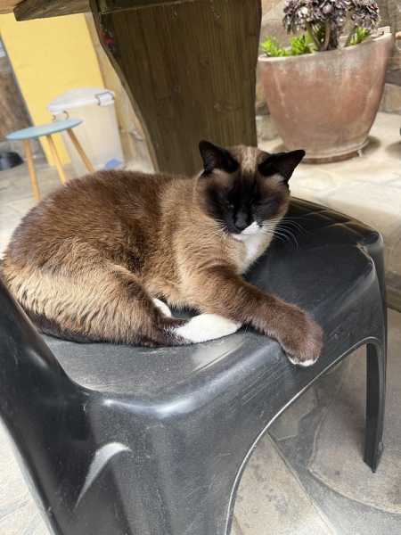 Южно-африканские приключения часть 2 20000 км (Намибия, Ботсвана, Замбия, Малави, Мозамбик) октябрь-декабрь 2025