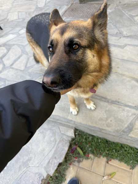 Южно-африканские приключения часть 2 20000 км (Намибия, Ботсвана, Замбия, Малави, Мозамбик) октябрь-декабрь 2025