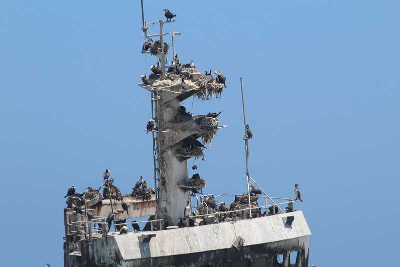 Южно-африканские приключения часть 2 20000 км (Намибия, Ботсвана, Замбия, Малави, Мозамбик) октябрь-декабрь 2025