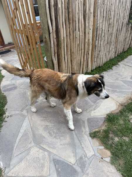 Южно-африканские приключения часть 2 20000 км (Намибия, Ботсвана, Замбия, Малави, Мозамбик) октябрь-декабрь 2025