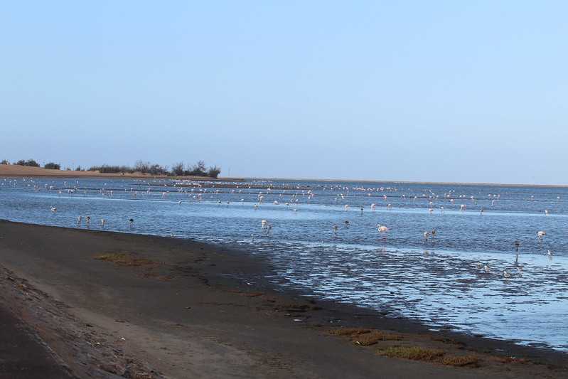 Южно-африканские приключения часть 2 20000 км (Намибия, Ботсвана, Замбия, Малави, Мозамбик) октябрь-декабрь 2025