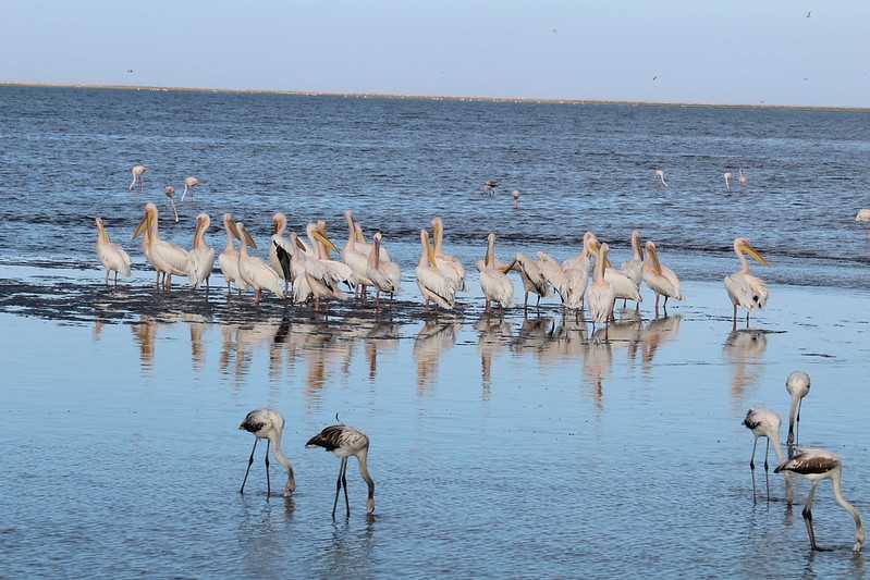 Южно-африканские приключения часть 2 20000 км (Намибия, Ботсвана, Замбия, Малави, Мозамбик) октябрь-декабрь 2025