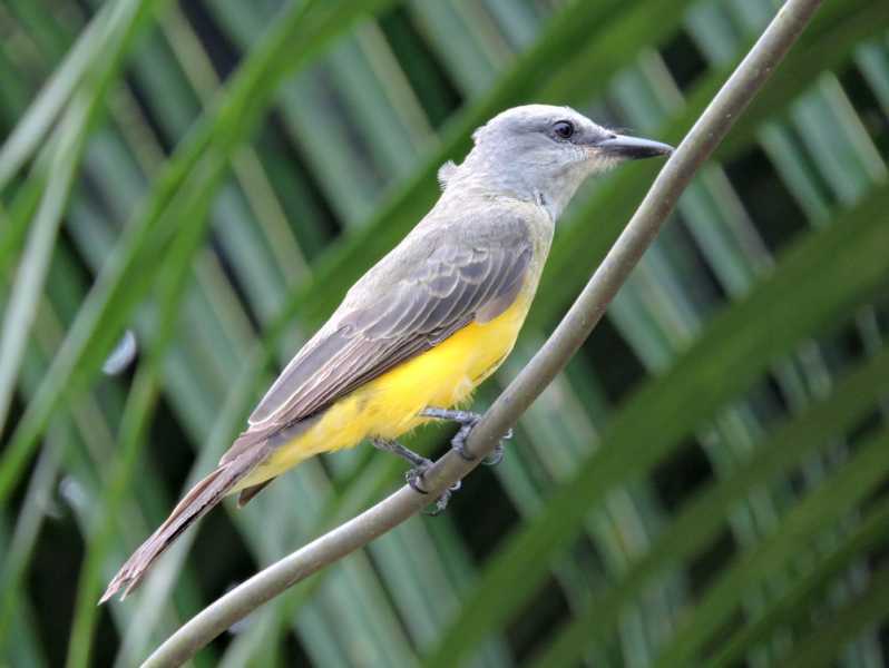 Перу, в натуре! Крайний север, декабрь 2025 – январь 2026