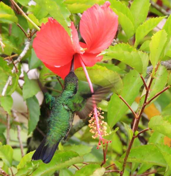 Перу, в натуре! Крайний север, декабрь 2025 – январь 2026