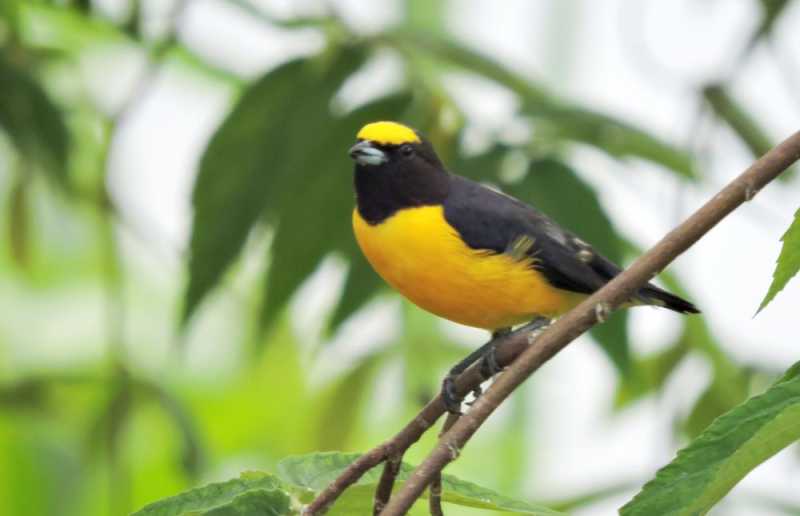 Перу, в натуре! Крайний север, декабрь 2025 – январь 2026