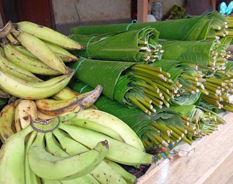 Перу, в натуре! Крайний север, декабрь 2025 – январь 2026