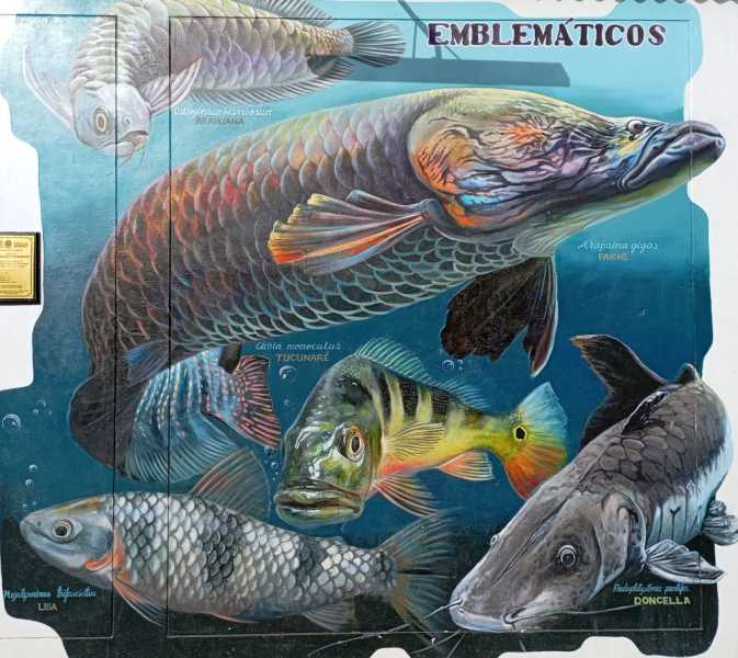 Перу, в натуре! Крайний север, декабрь 2025 – январь 2026