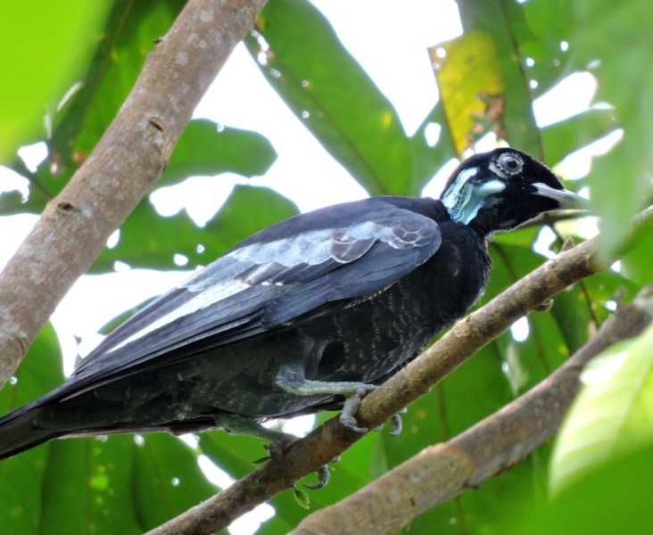 Перу, в натуре! Крайний север, декабрь 2025 – январь 2026