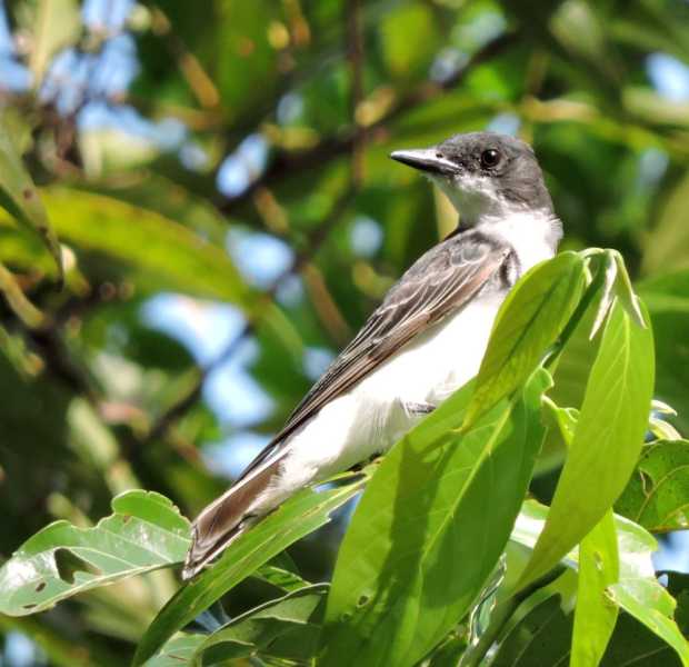 Перу, в натуре! Крайний север, декабрь 2025 – январь 2026