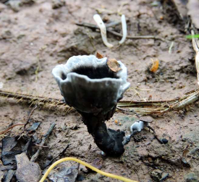 Перу, в натуре! Крайний север, декабрь 2025 – январь 2026