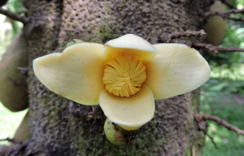 Перу, в натуре! Крайний север, декабрь 2025 – январь 2026