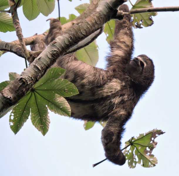 Перу, в натуре! Крайний север, декабрь 2025 – январь 2026