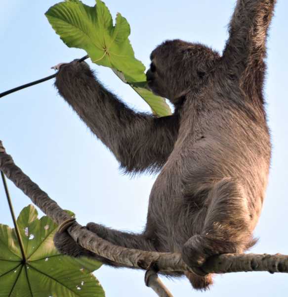 Перу, в натуре! Крайний север, декабрь 2025 – январь 2026